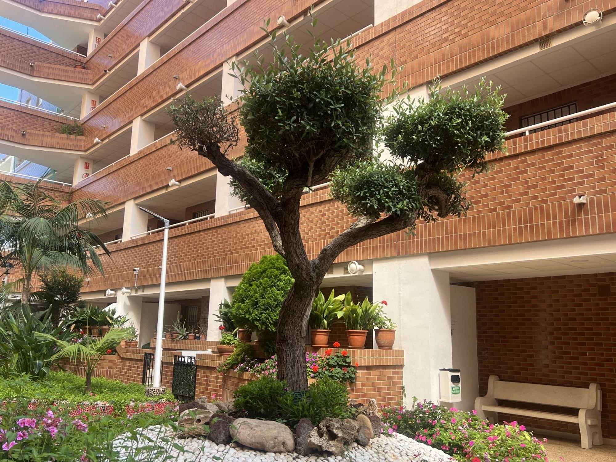 Apartamentos Marina Park أوروبيسا ذيل مار المظهر الخارجي الصورة